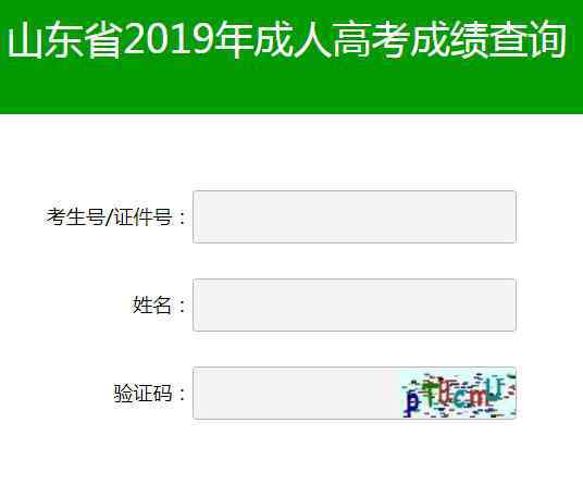 2019年山东济南成人高考成绩查询入口（已开通）