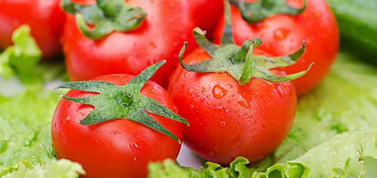 青番茄能吃吗 青番茄能吃吗 买番茄怎么辨别其是不是催熟的
