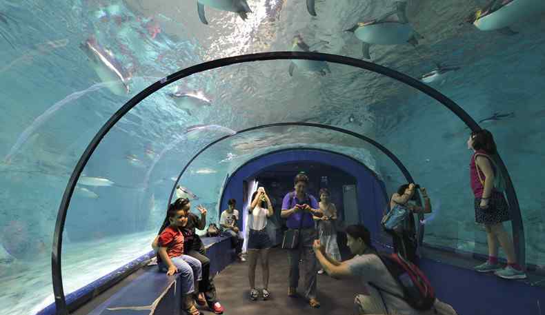 郑州海洋馆门票 海底的世界 郑州海洋馆门票多少钱？