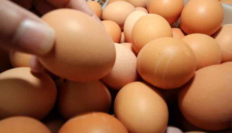 如何识别土鸡蛋 土鸡蛋多少钱一斤 6招教你如何鉴别真假土鸡蛋