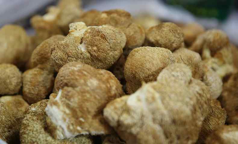 猴头菇的价格多少 猴头菇多少钱一斤 2019年最新市场价格介绍