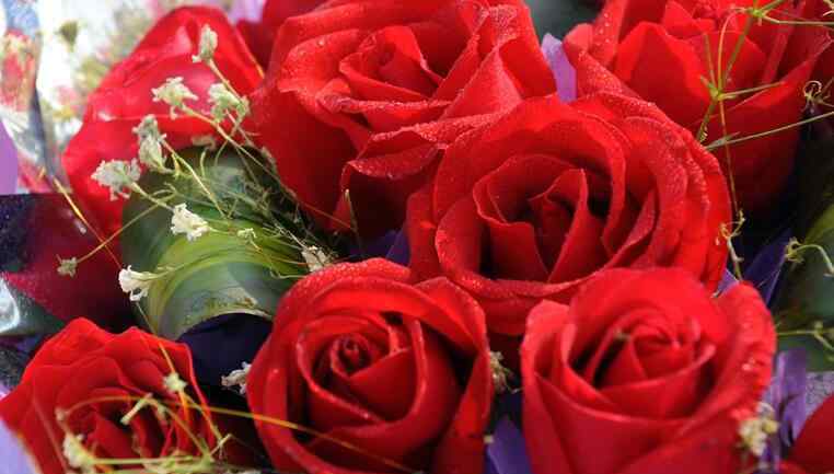 情人节送花送几朵 玫瑰花多少钱一支 情人节送多少朵玫瑰合适