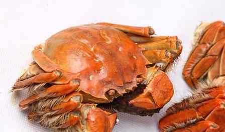 螃蟹和酸奶能一起吃吗 吃螃蟹的禁忌有哪些 了解螃蟹中毒的一些误区