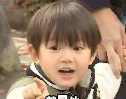 白月光是什么梗 说人白月光是什么意思 “白月光”是什么梗