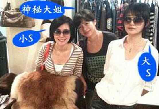 大小s资料 徐熙娴个人资料 大小S背后神秘大姐