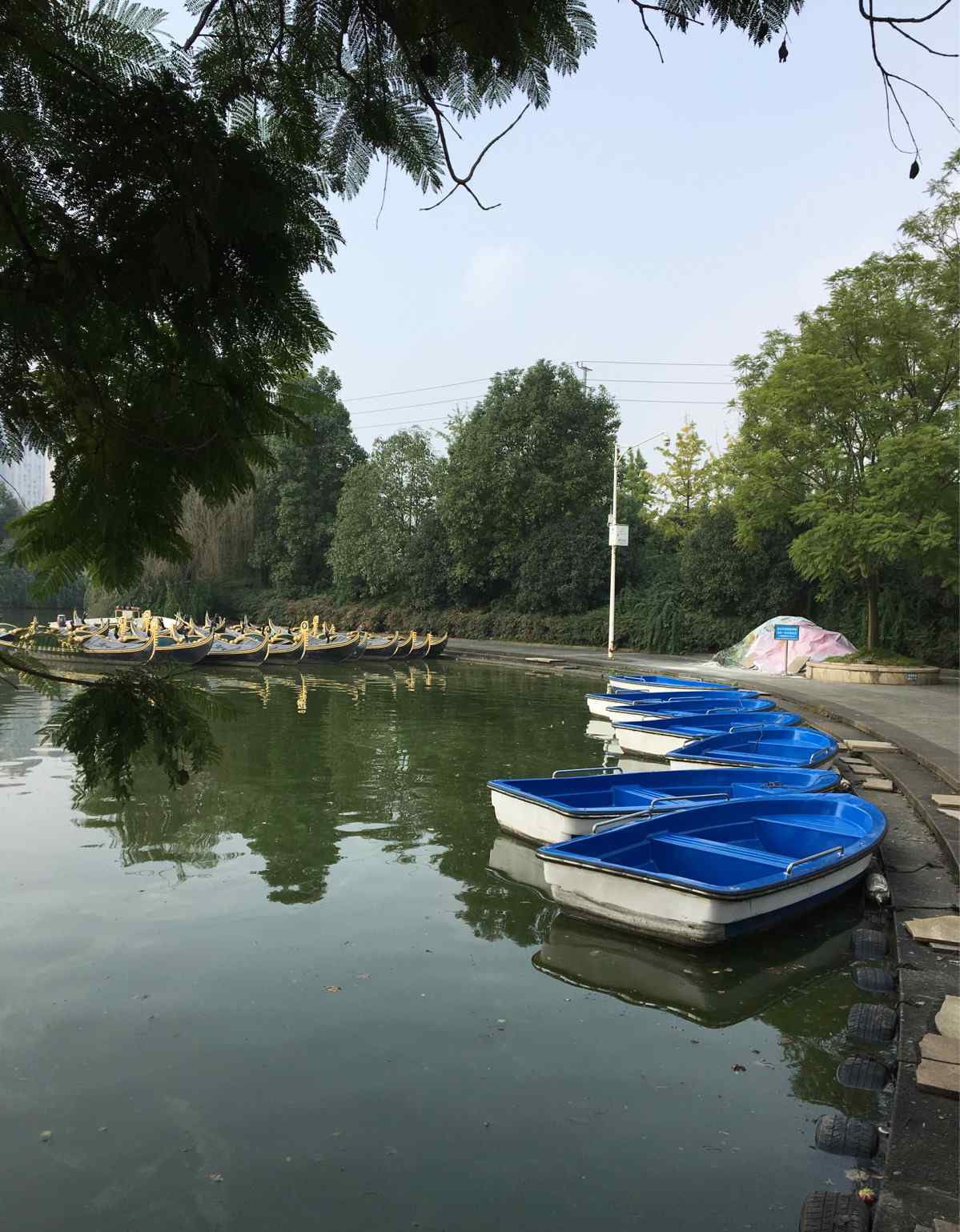 华阳南湖公园 成都南湖公园