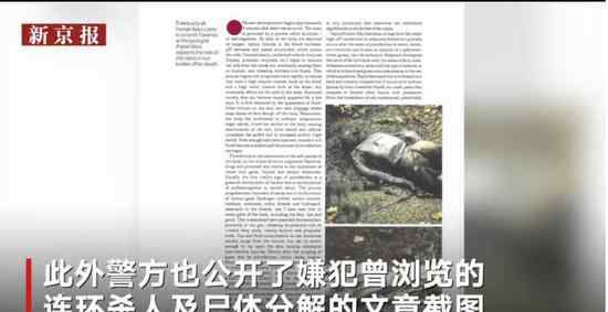 章颖颖的最新消息 章莹颖案最新消息2019：章莹颖遇害现场曝光 尸体下落仍旧成迷！