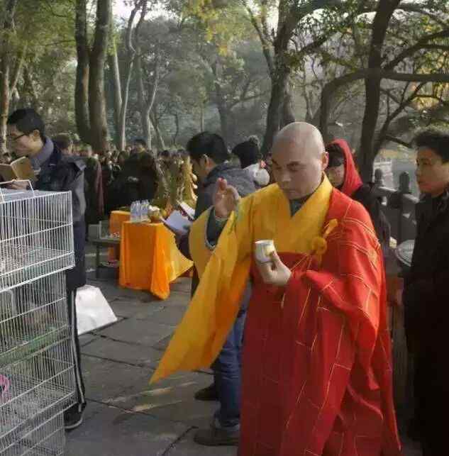 最简单的放生仪轨 最简单有效的放生仪轨，这样做放生功德福报最大最圆满！