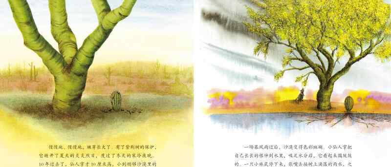 仙人掌旅馆 仙人掌旅馆绘本