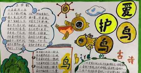 关于鸟的手抄报 鸟的手抄报简单又漂亮
