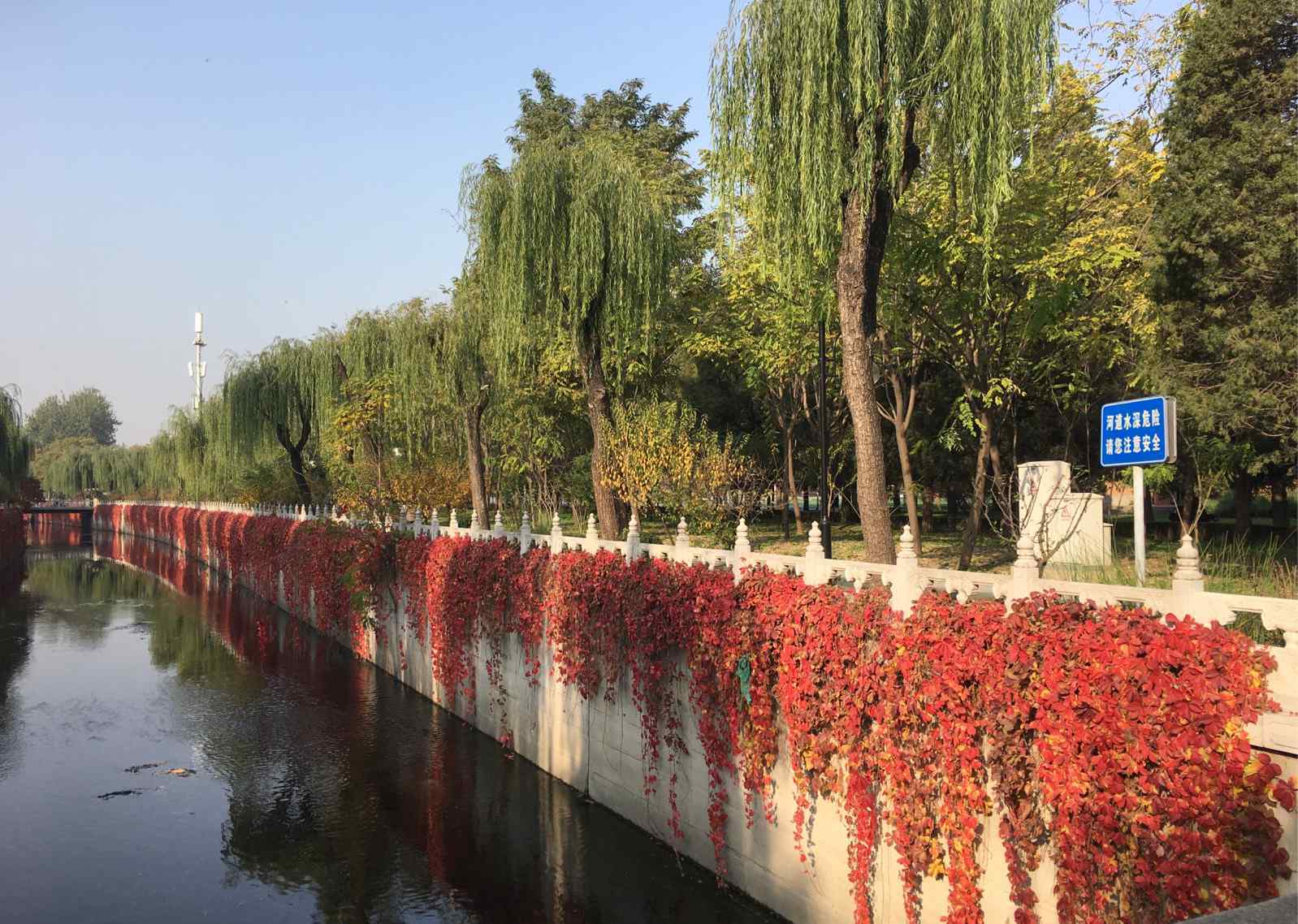 万泉河 清华园校河—万泉河