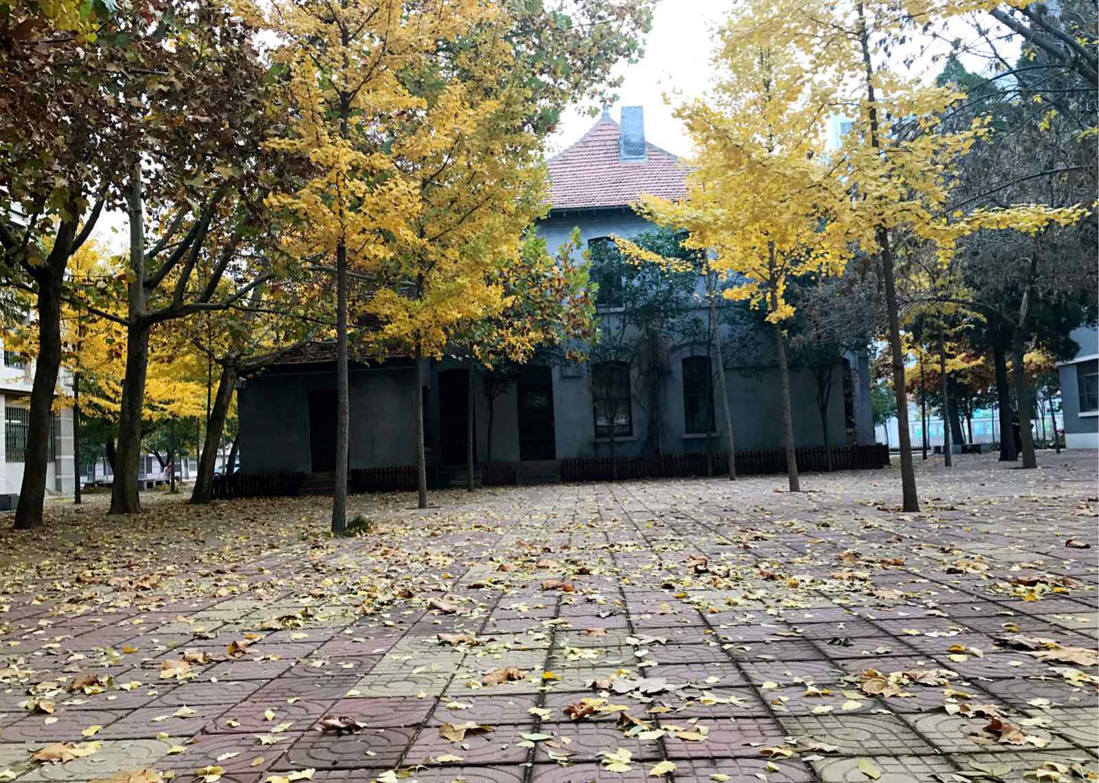 潍坊市广文中学 幸福来敲门----热烈祝贺潍坊广文中学初三学部13位同学考入潍坊一中初高中衔接班