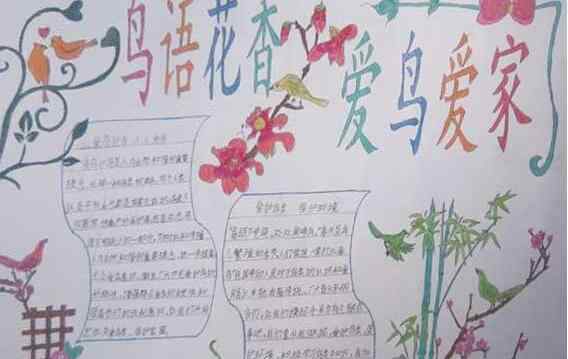 关于鸟的手抄报 鸟的手抄报简单又漂亮