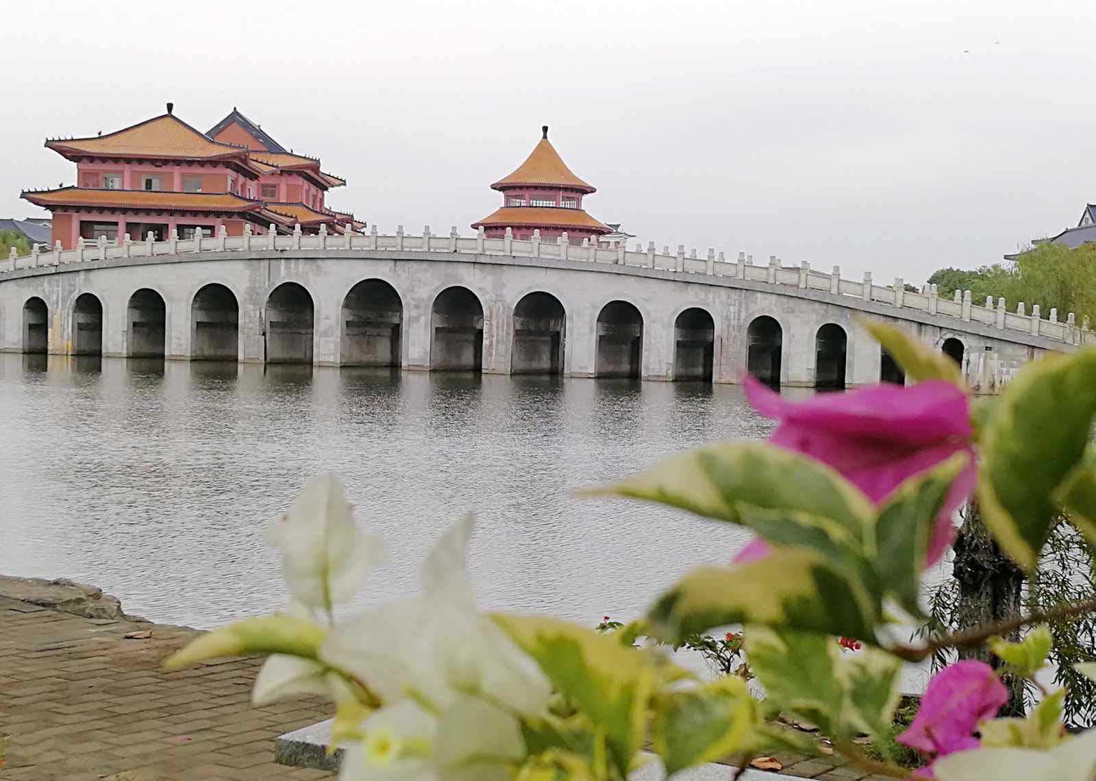 南方医科大学顺德校区 南方医科大学顺德校区
