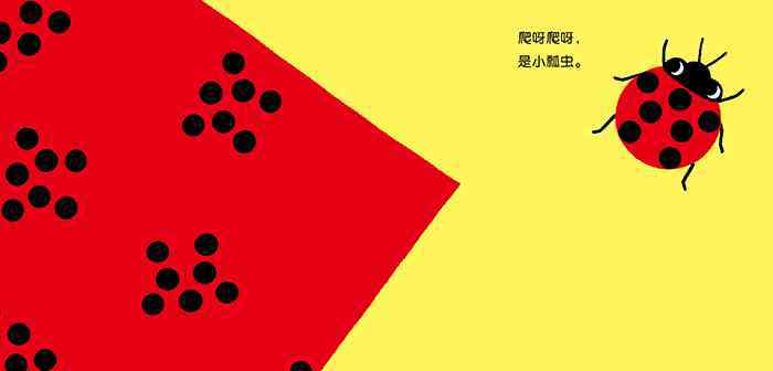 这是什么 什么？这是什么？绘本