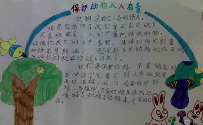 保护动物手抄报简单又漂亮 保护动物手抄报简单又漂亮