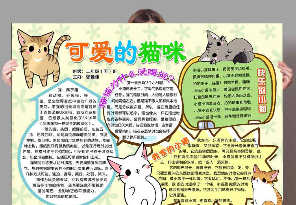 小猫咪图片 关于猫的手抄报图片大全