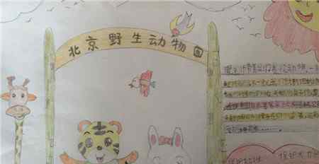 西北藏獒网 猛兽动物园手抄报图片大全