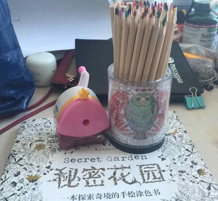 秘密花园涂色作品欣赏 第一幅秘密花园涂色作品——猫头鹰