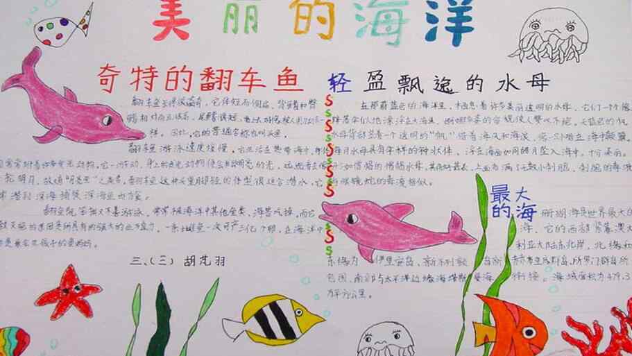 海洋知识 海洋知识手抄报简单又漂亮