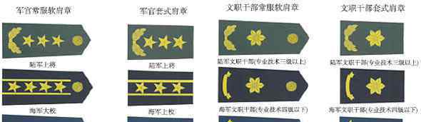 三个正军级大校 文职干部技术级别与军衔级别