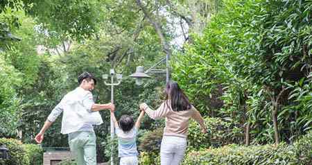 斑马线 幼儿园斑马线教案