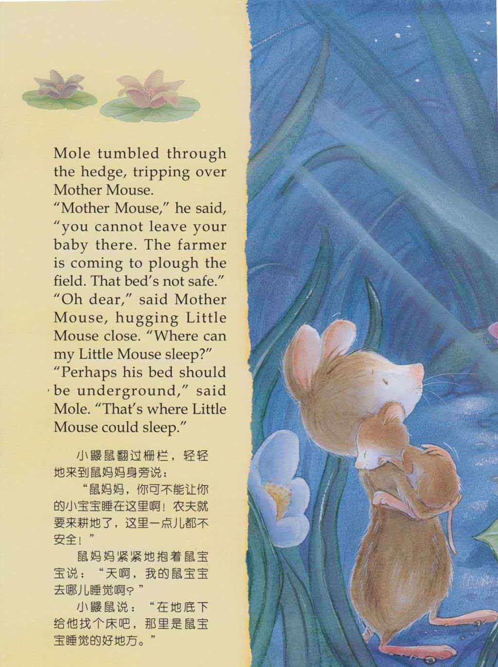 月光之下 月光之下绘本