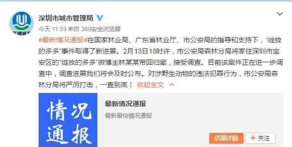 树穿山甲 穿山甲：快被“妖精”吃绝了！我不属于豪华套餐！