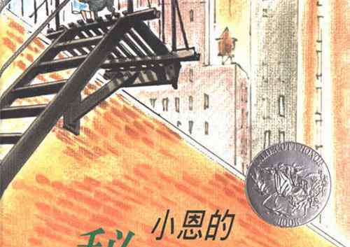 秘密花园读后感 小恩的秘密花园绘本