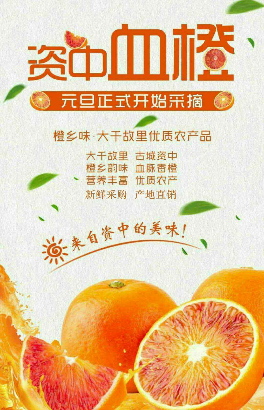 塔罗科血橙 资中塔罗科血橙简介