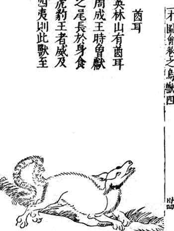 传说武则天时代的异兽，身高一丈的巨虎，专吃一种无骨怪物