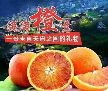 塔罗科血橙 资中塔罗科血橙简介