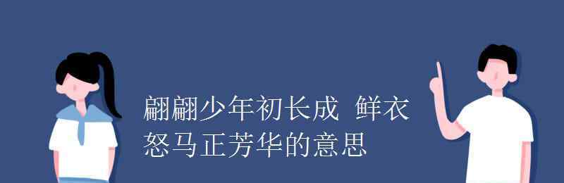 翩翩少年 翩翩少年初长成 鲜衣怒马正芳华的意思