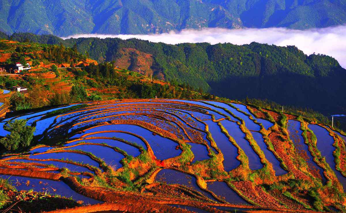 花瑶梯田 美 丽 的 山 背 花 瑶 梯 田