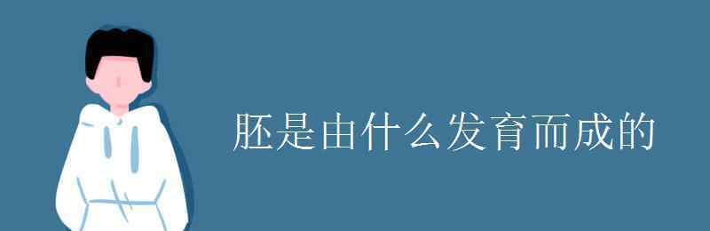 胚根发育成什么 胚是由什么发育而成的