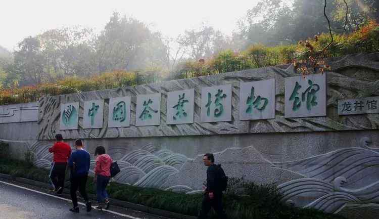 龙井茶路红枫叶半落,一路秋景似梦而掠,来到终点,才知道错过了