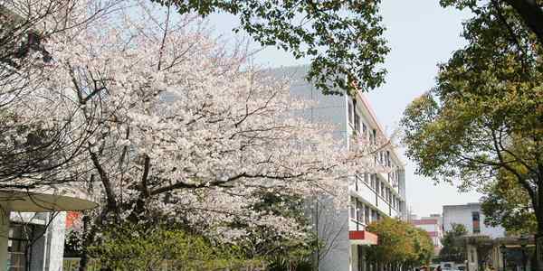 延边二中初中部 2017吉林最好中学排行榜 【最新版】