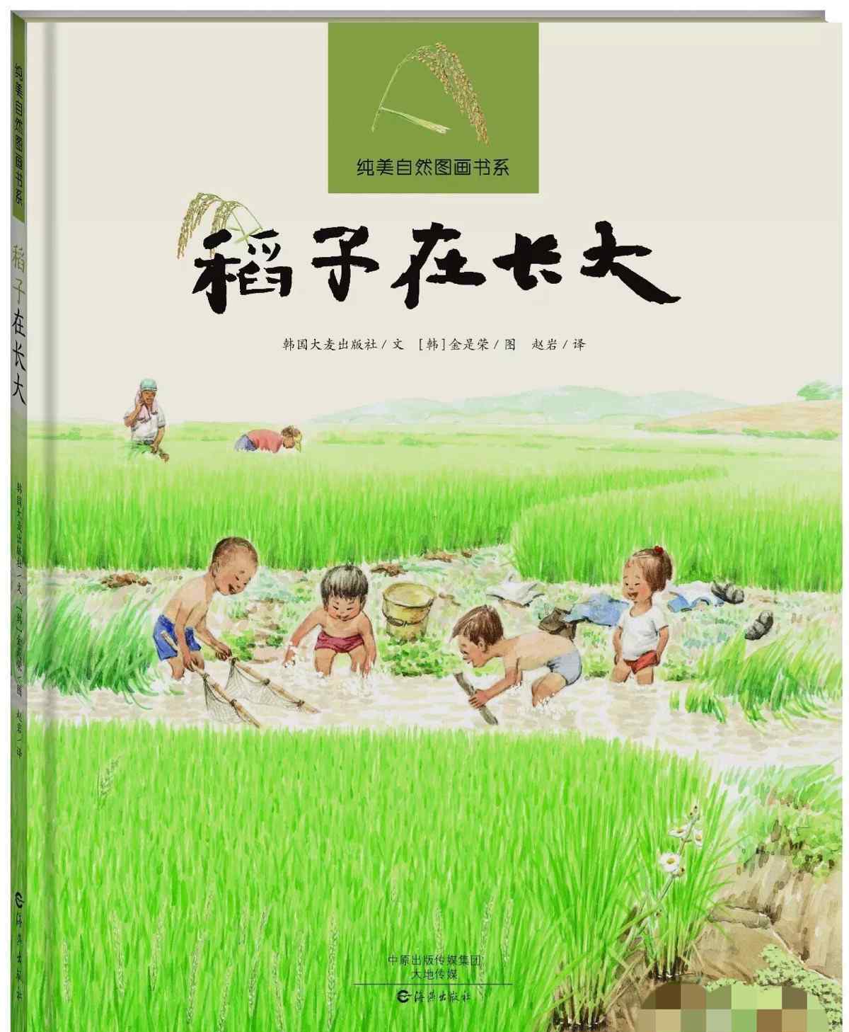 稻子 推荐绘本 《稻子在长大》