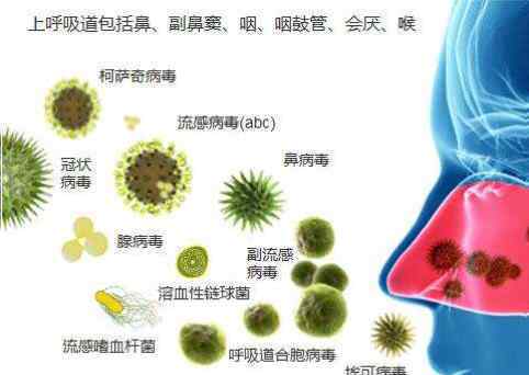 呼吸道病毒 常见七项呼吸道病毒是这样检测的---