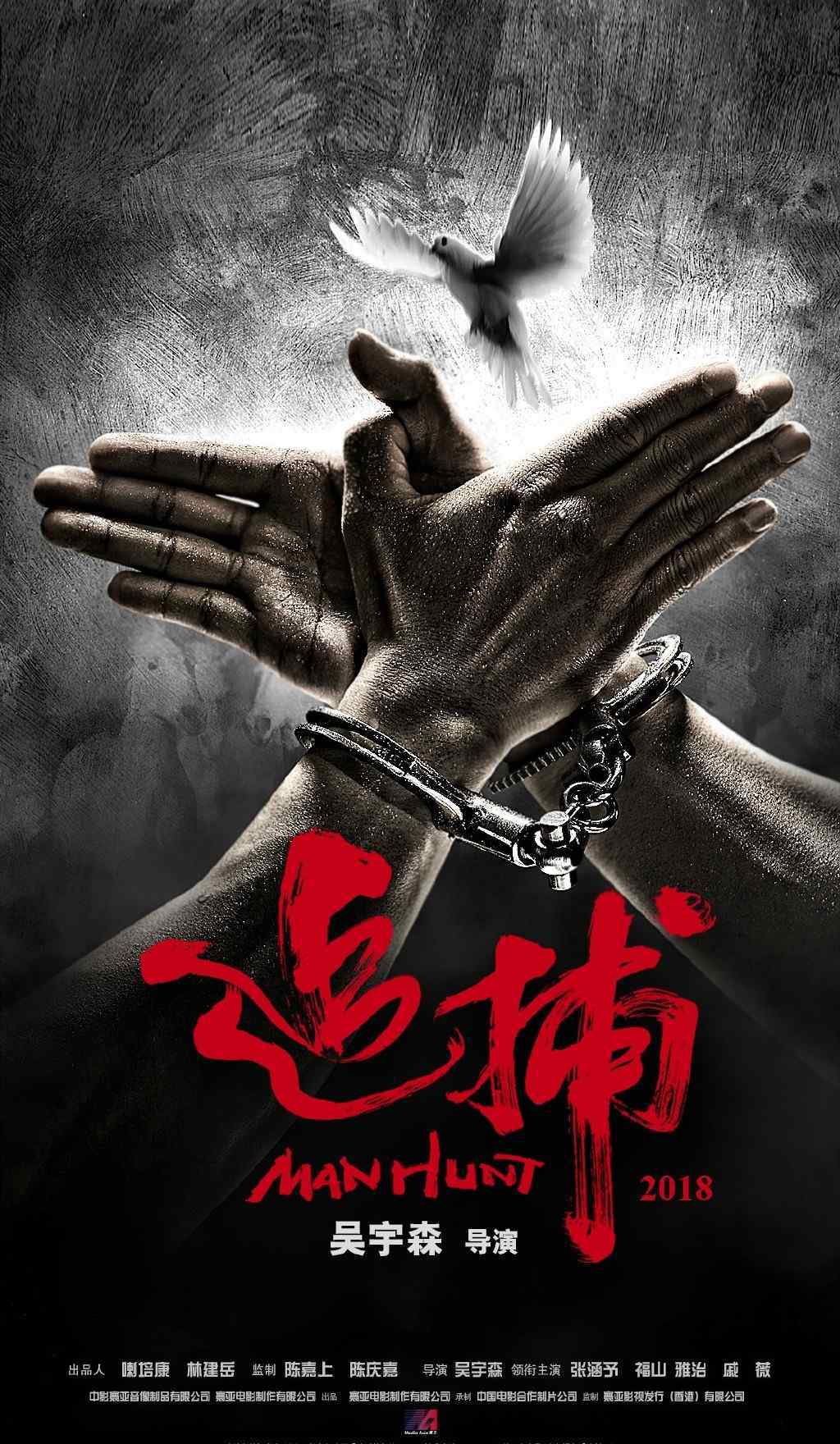 追捕的演员 《追捕》什么时候上映？主演都有谁？