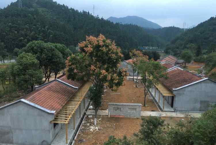 魅力女人培训班 女性优雅形体仪态训练班即将开班！