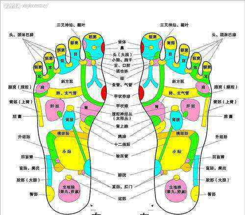 足底疼痛位置图 脚诊图