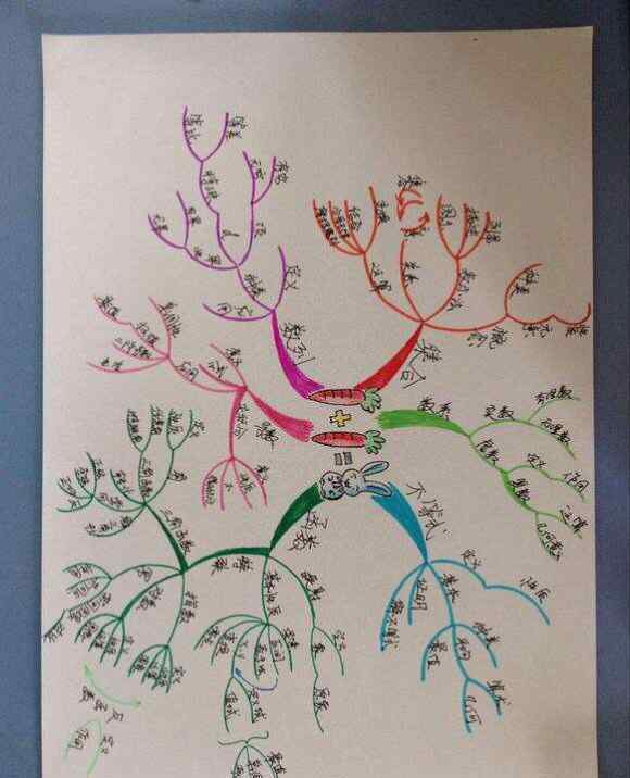 学科思维导图 五个学科思维导图