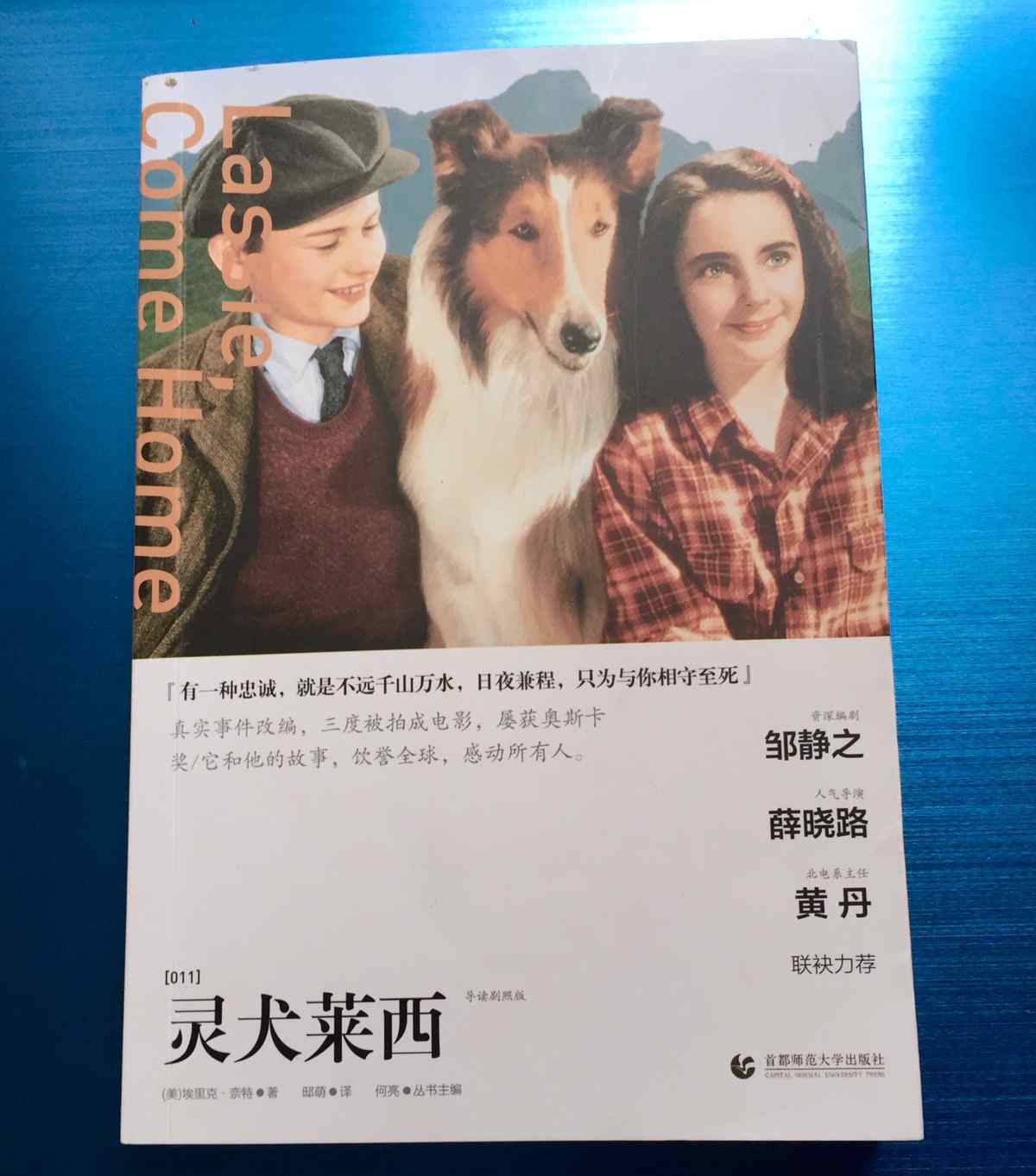 灵犬莱西 《灵犬莱西》－－好书推荐
