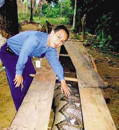 寿命最长的人443岁 香港村民捕获120岁大蛇 盘点动物世界中的八大老寿星