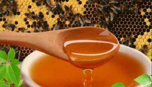 纯蜂蜜的21种吃法