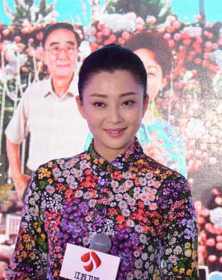 孙东海殷桃 殷桃称自己很喜欢孩子 殷桃老公是谁