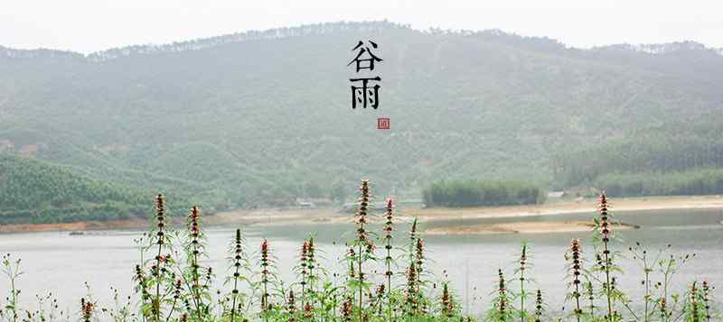 春雨惊春清谷天 一曲暮春色，古今长作歌