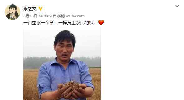 山东农民歌手 朱之文顶烈日干活 农民歌手朱之文个人资料