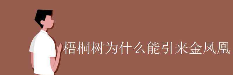 梧桐树的寓意 梧桐树为什么能引来金凤凰